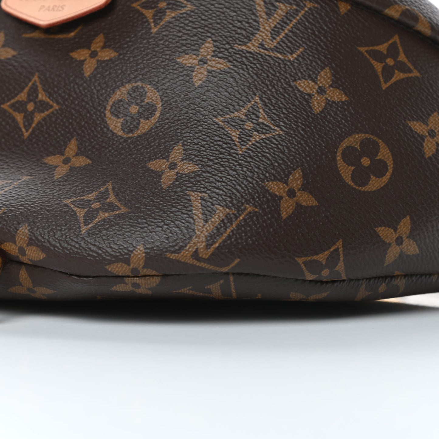 Monogram Bumbag