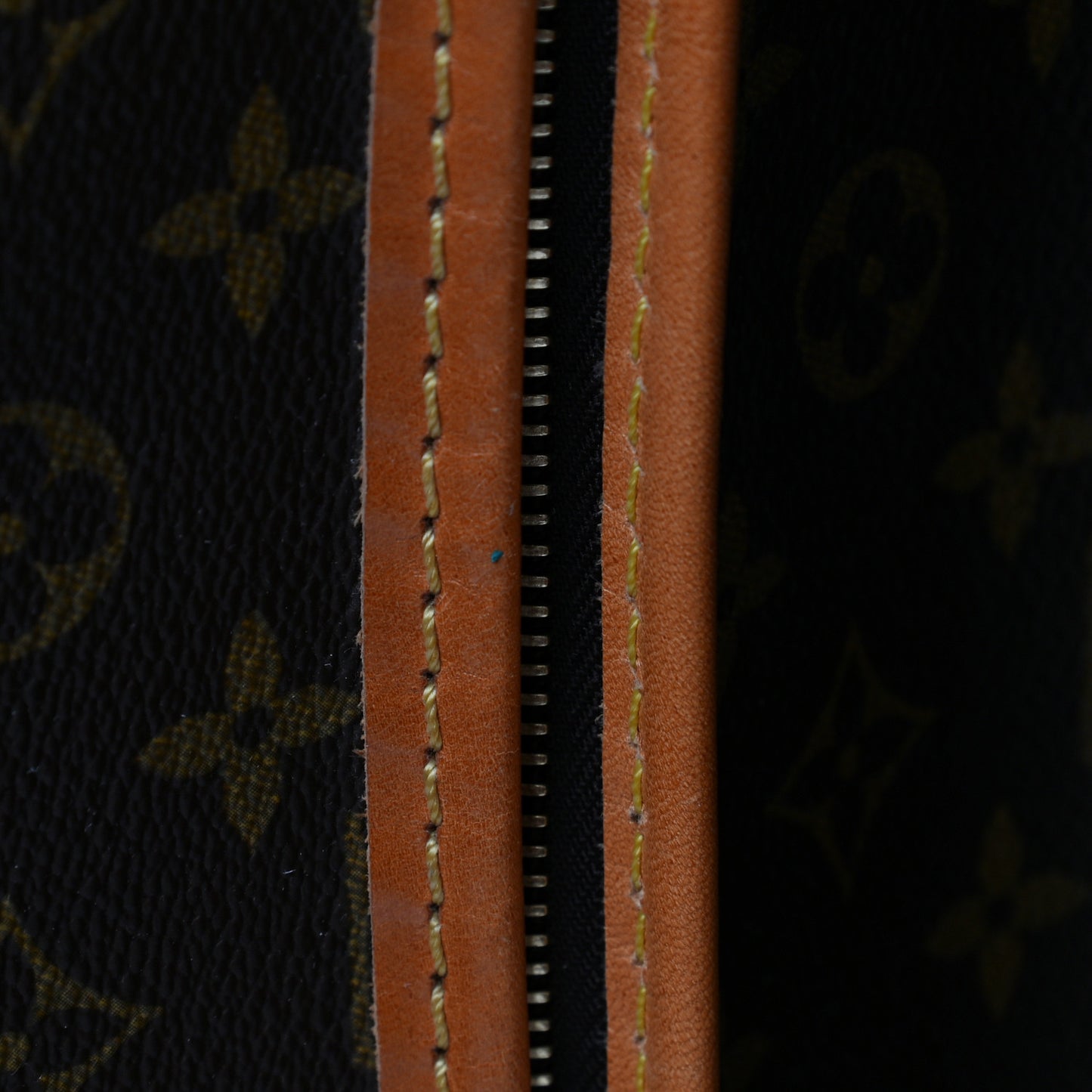 Monogram Portable Garment Bag