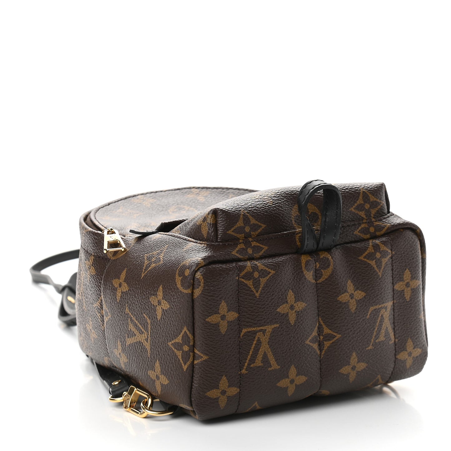Monogram Palm Springs Backpack Mini