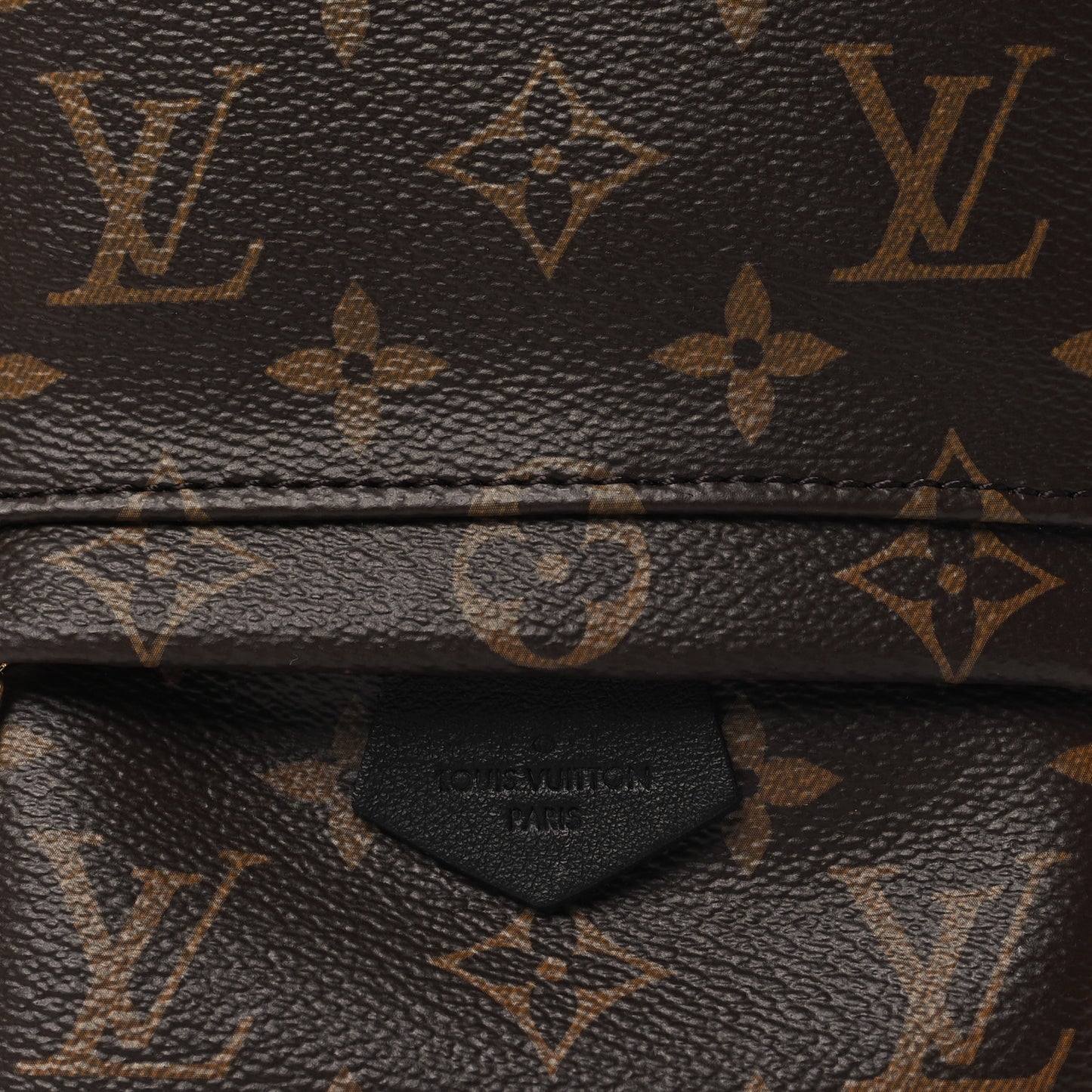 Monogram Palm Springs Backpack Mini