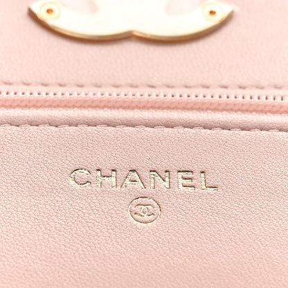 Chanel Lambskin Quilted Chanel 19 Wallet On Chain WOC Light Pink 6 of 10