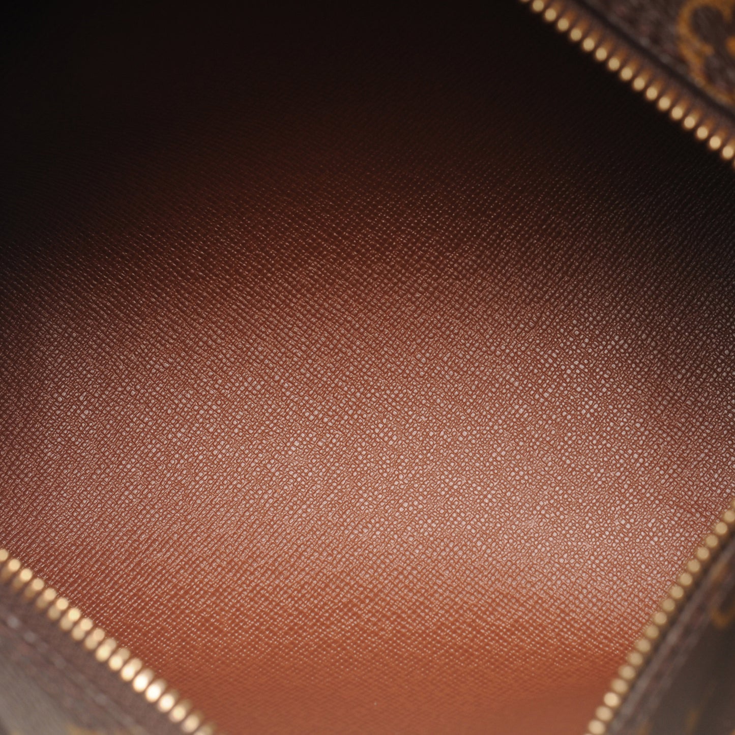 Monogram Papillon 30