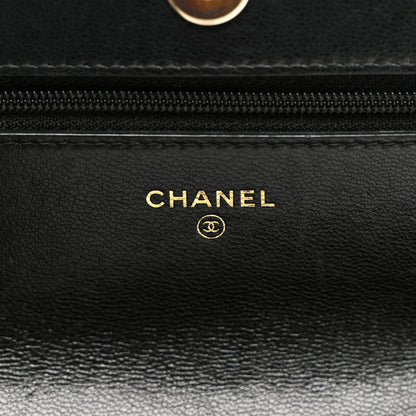 Chanel Goatskin Quilted Chanel 19 Wallet On Chain WOC Black 6 of 11