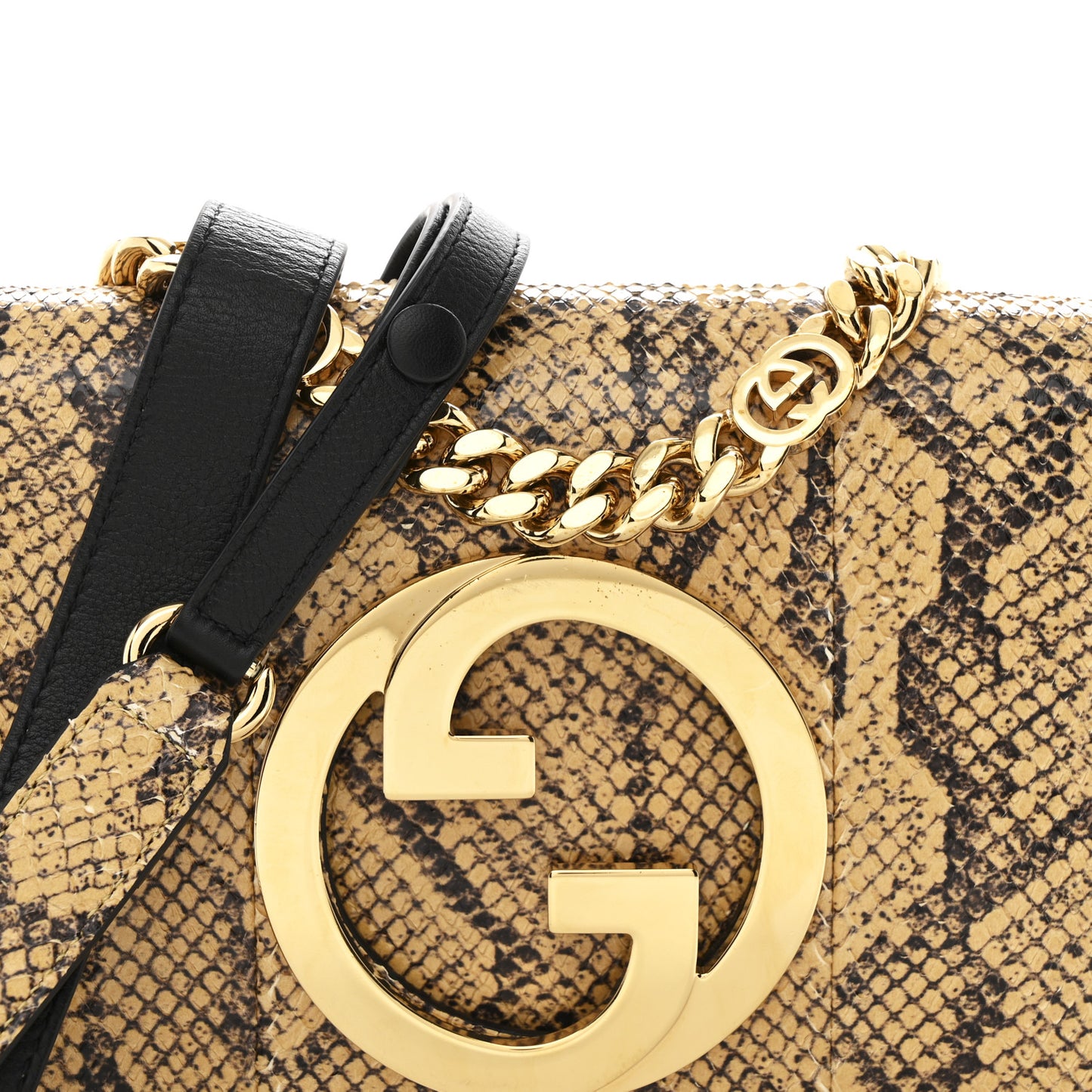 Roxy Snakeskin Blondie Chain Shoulder Flap Bag Roccia
