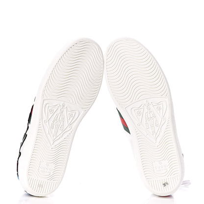 Gucci Calfskin Web Floral Embroidered Womens Ace Sneakers 36.5 White 5 of 9