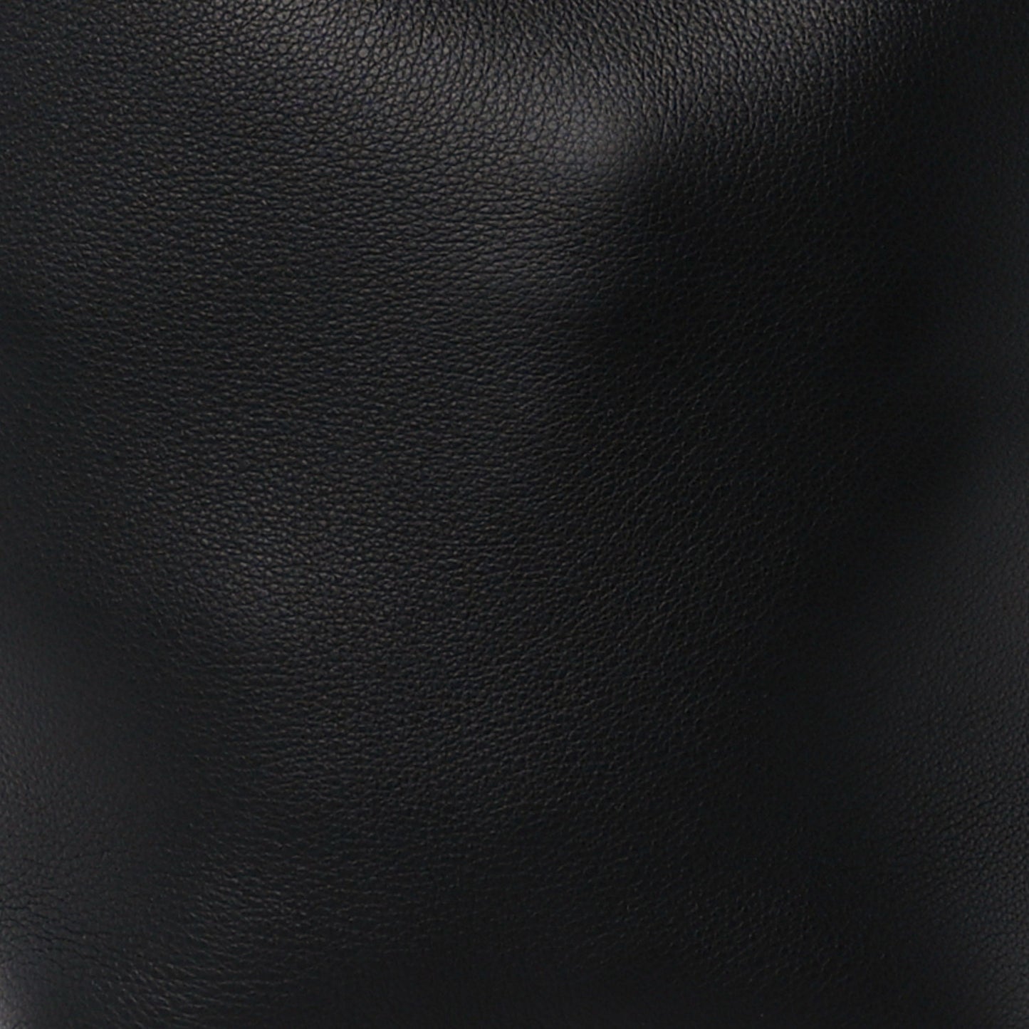 Grained Calfskin Medium N/S Park Tote Black