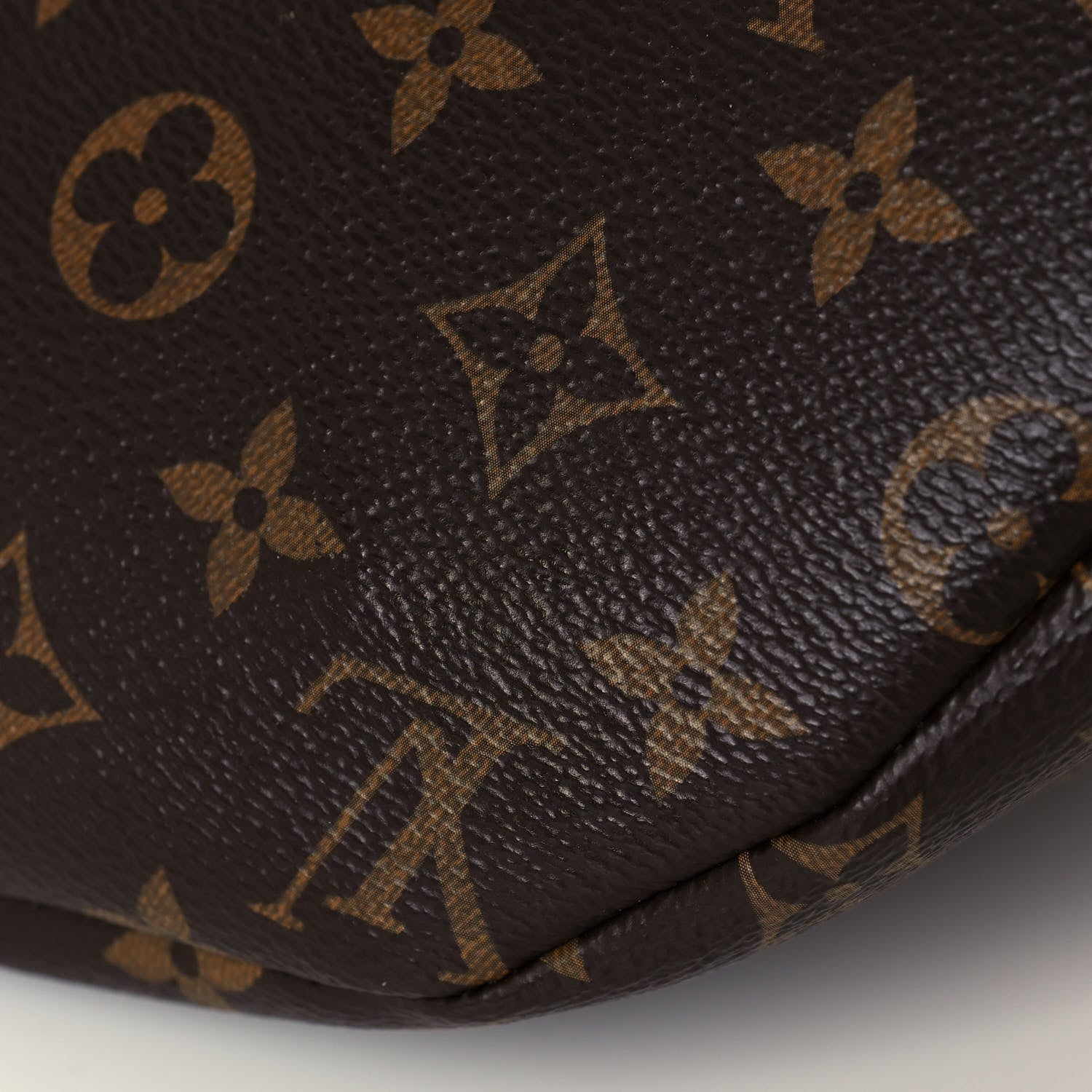 Louis Vuitton Monogram Bumbag 11 of 12