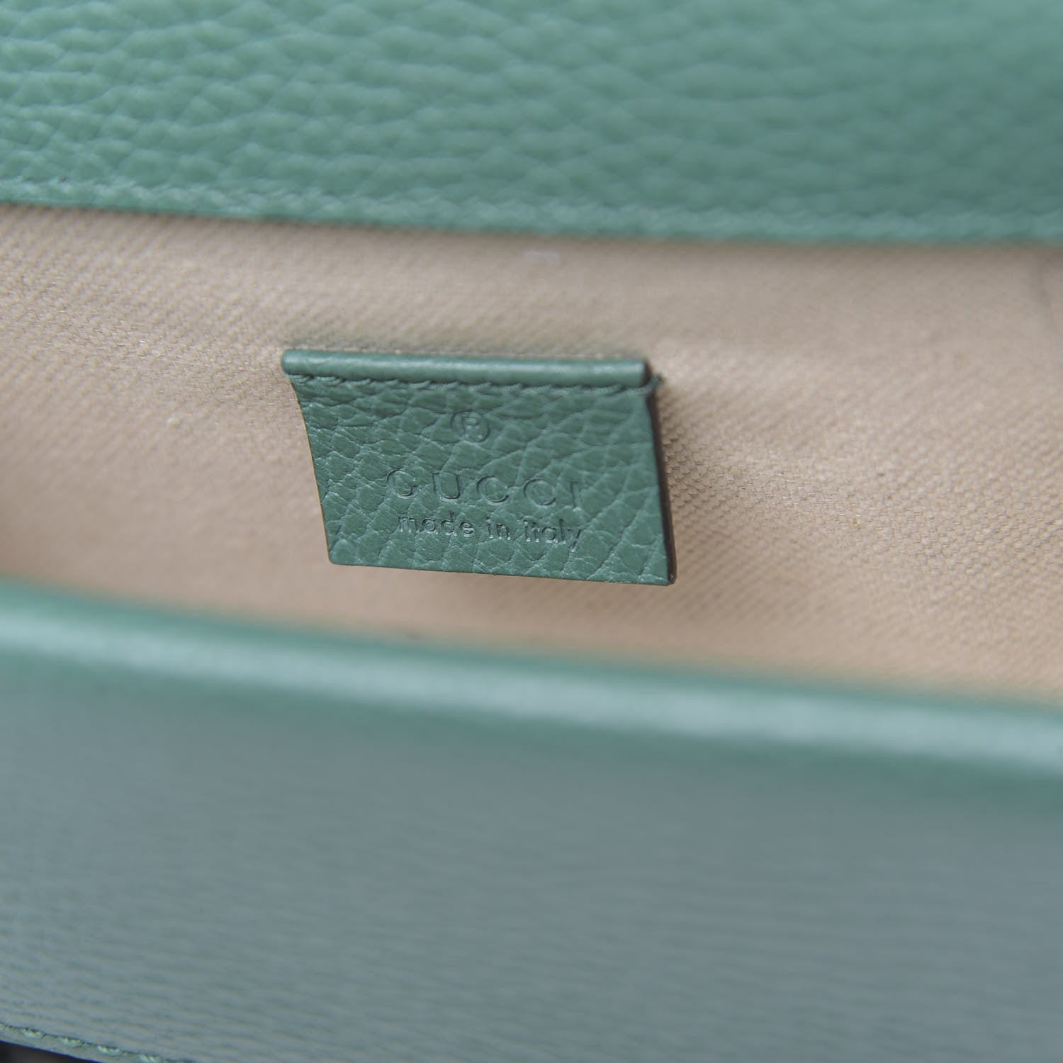 Gucci Calfskin Mini Dionysus Shoulder Bag Emerald 6 of 11