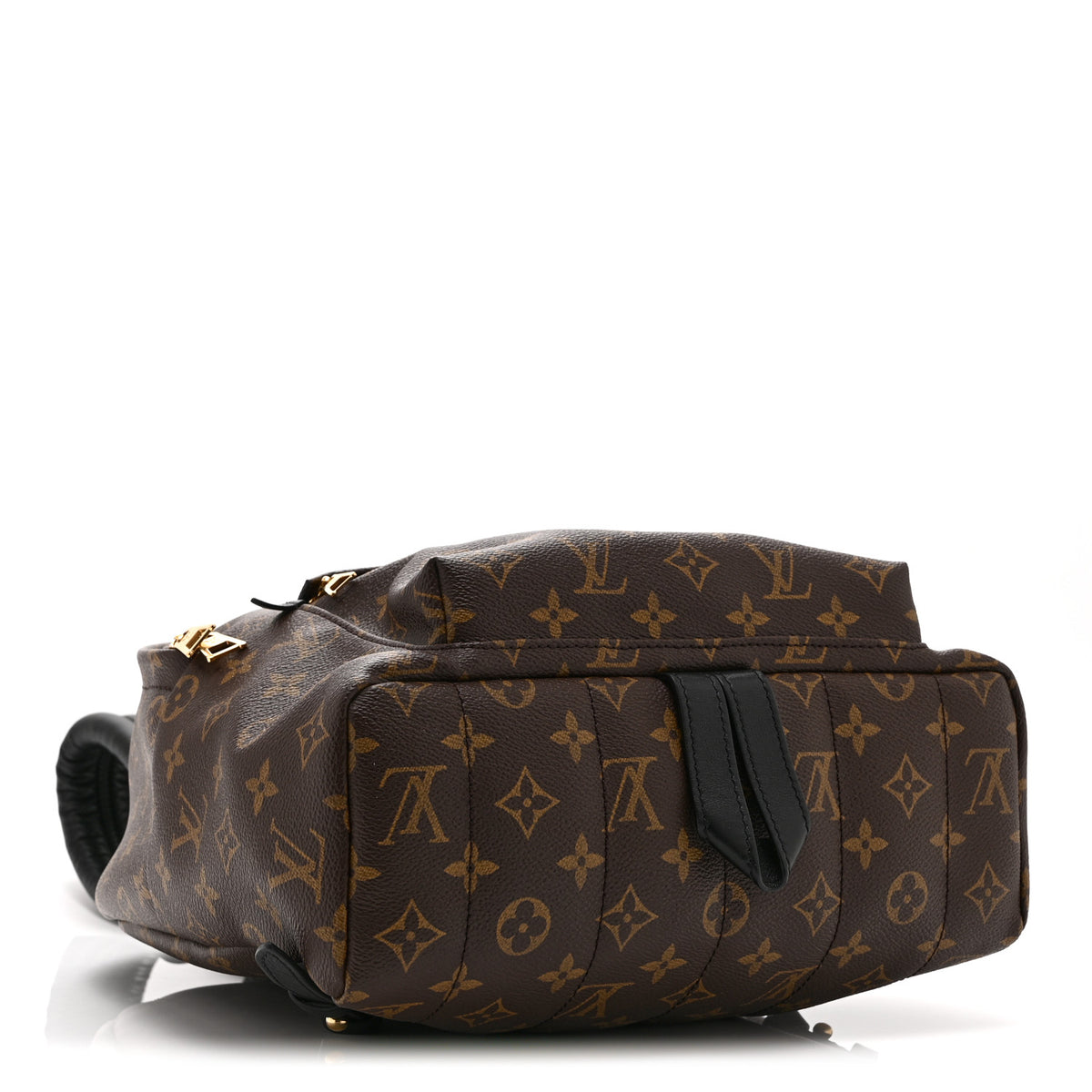 Monogram Palm Springs Backpack MM