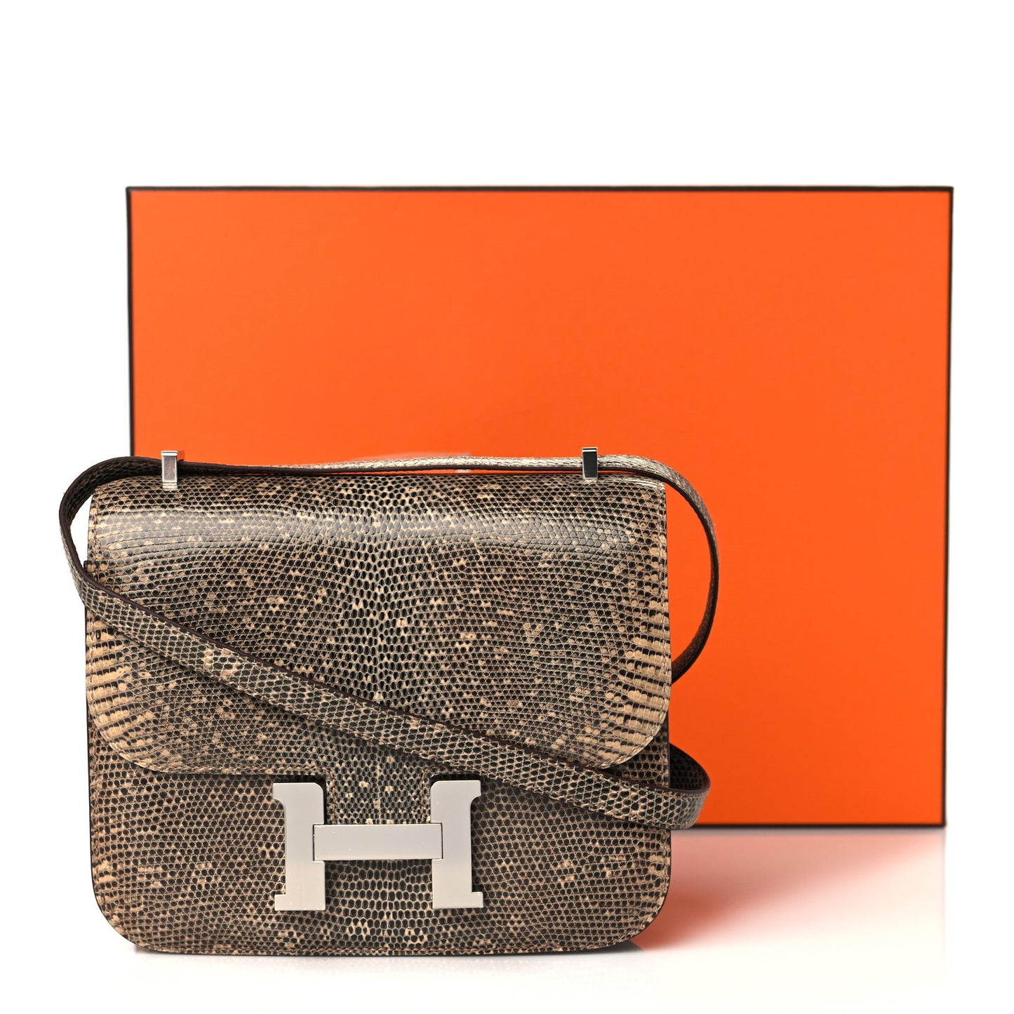 Lizard Constance 18 Ombre