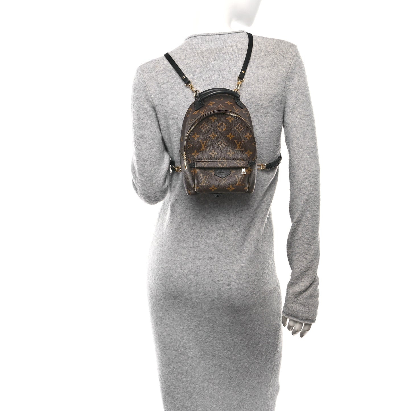 Monogram Palm Springs Backpack Mini
