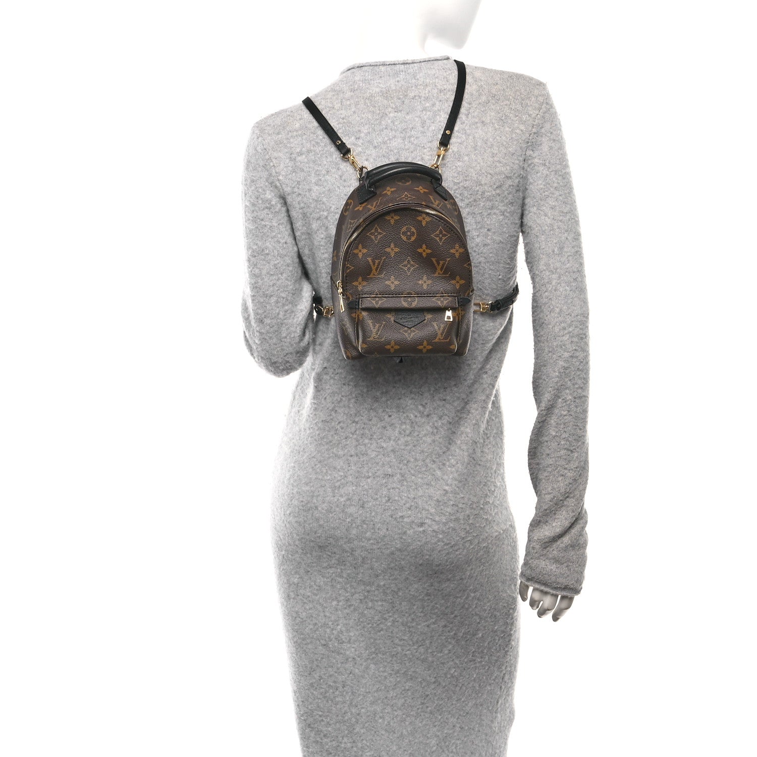 Louis Vuitton Monogram Palm Springs Backpack Mini 2 of 9