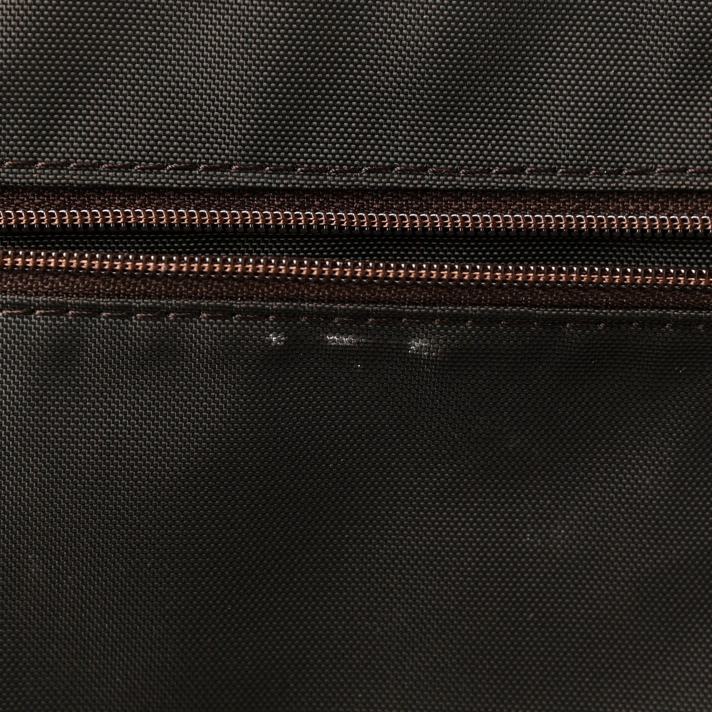 Monogram Pegase 55 Business