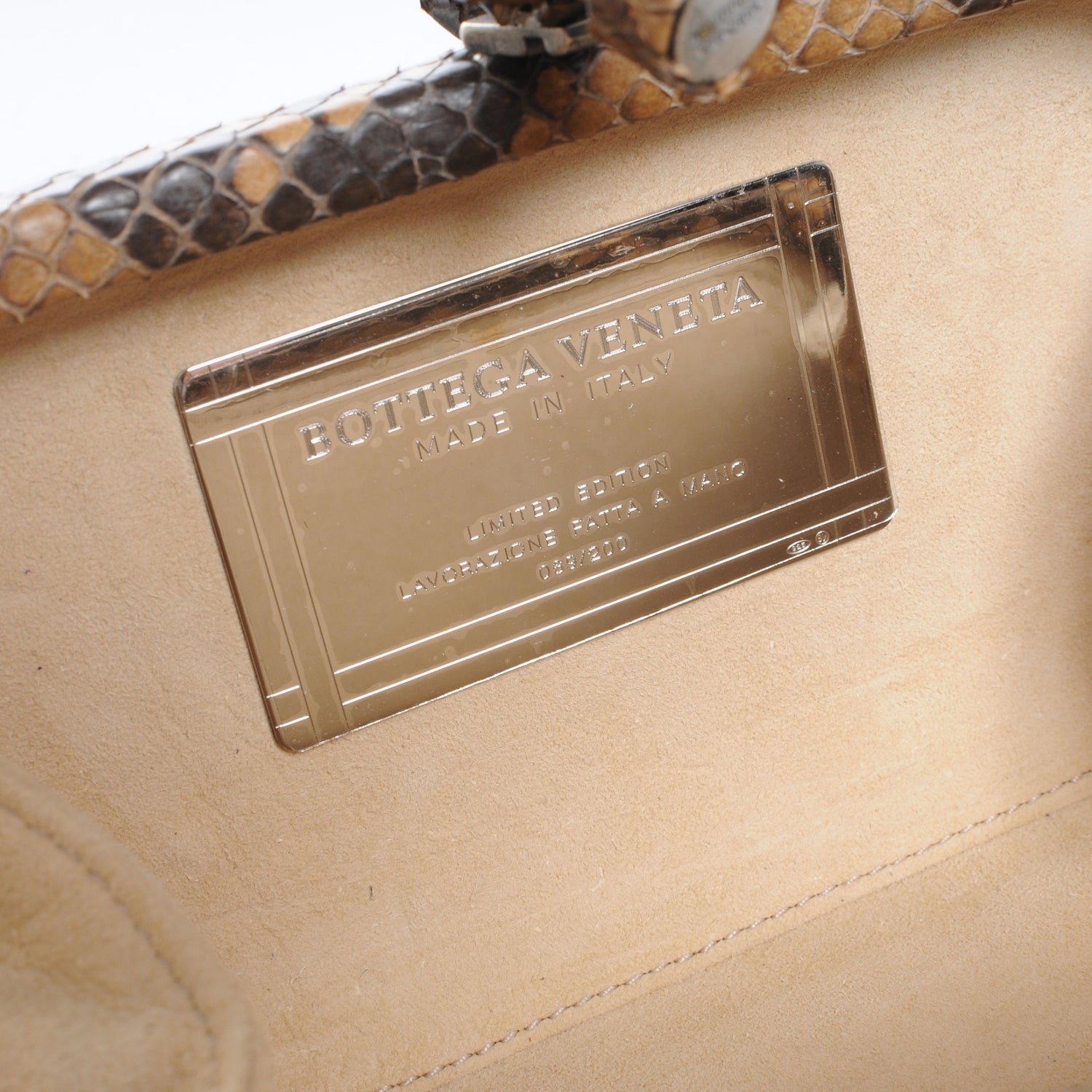 Bottega Veneta Python Tortoise Knot Clutch 6 of 6