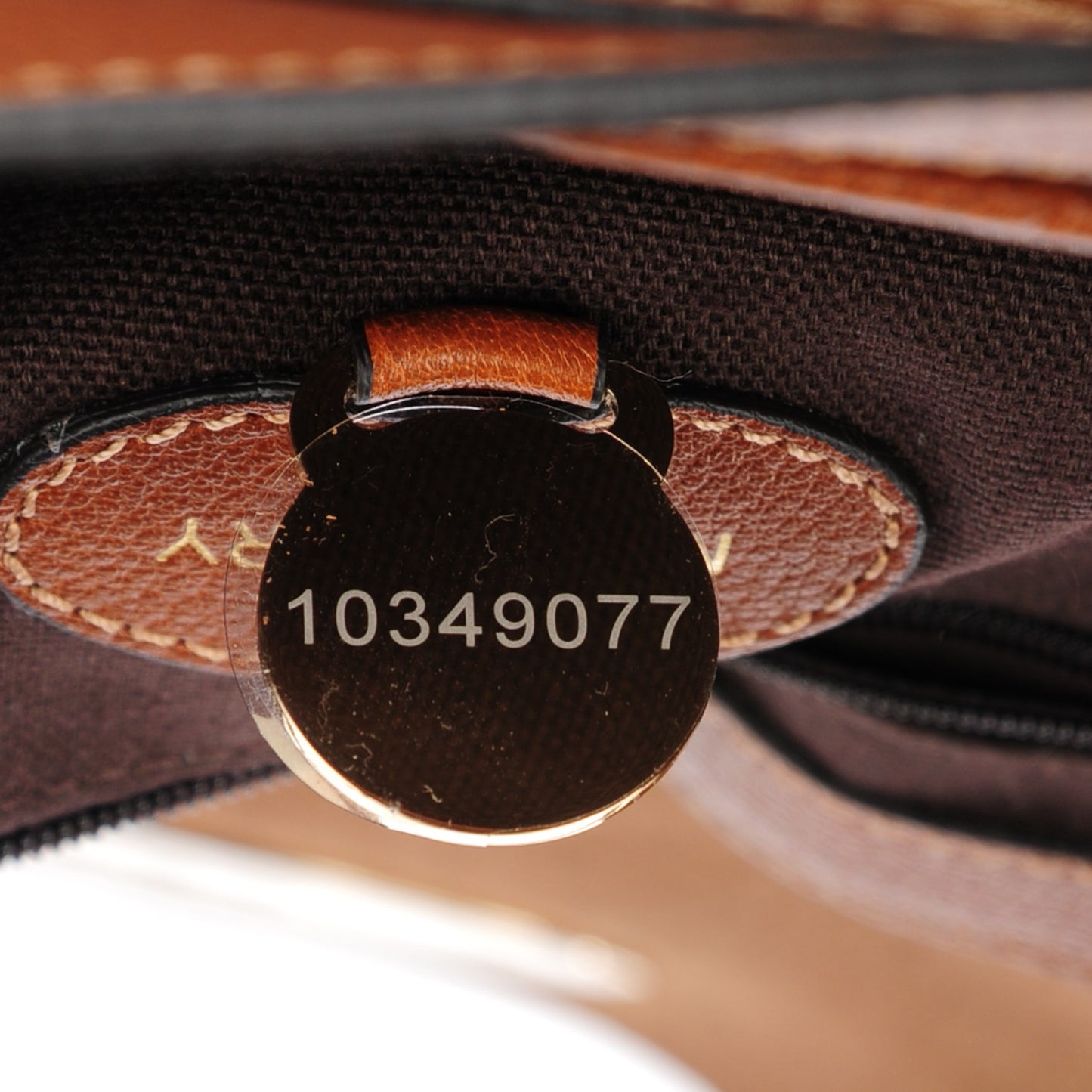 Polished Buffalo Medium Alexa Oak