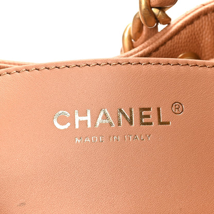 Chanel Caviar Quilted Small Chanel 25 Handbag Brown 6 of 11