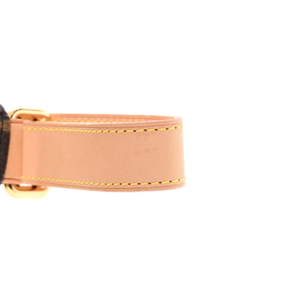 Louis Vuitton Monogram Bumbag 12 of 13