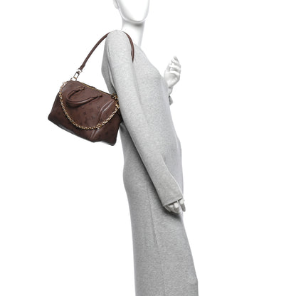 Louis Vuitton Calfskin LV Bliss Speedy Bandouliere 25 Brun 2 of 10