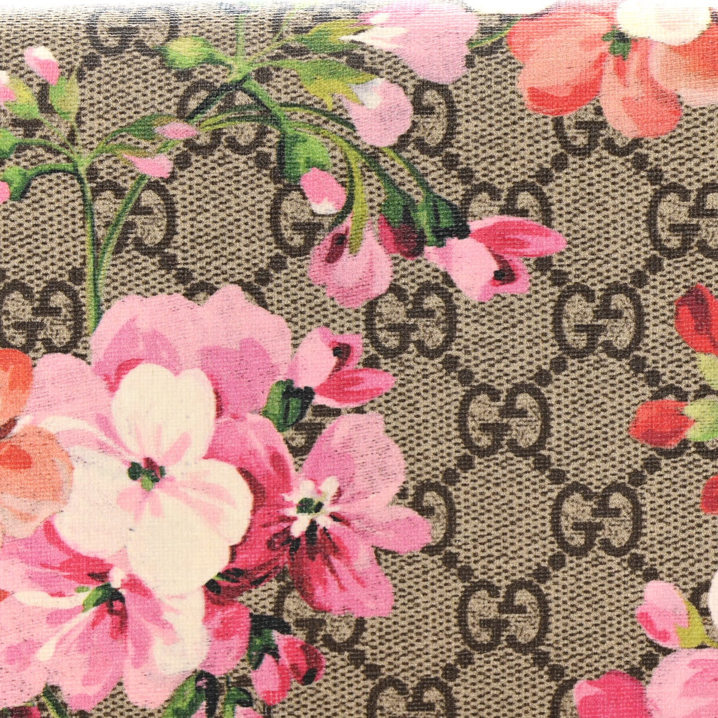 GG Supreme Monogram Blooms Chain Wallet Beige Multicolor Dry Rose