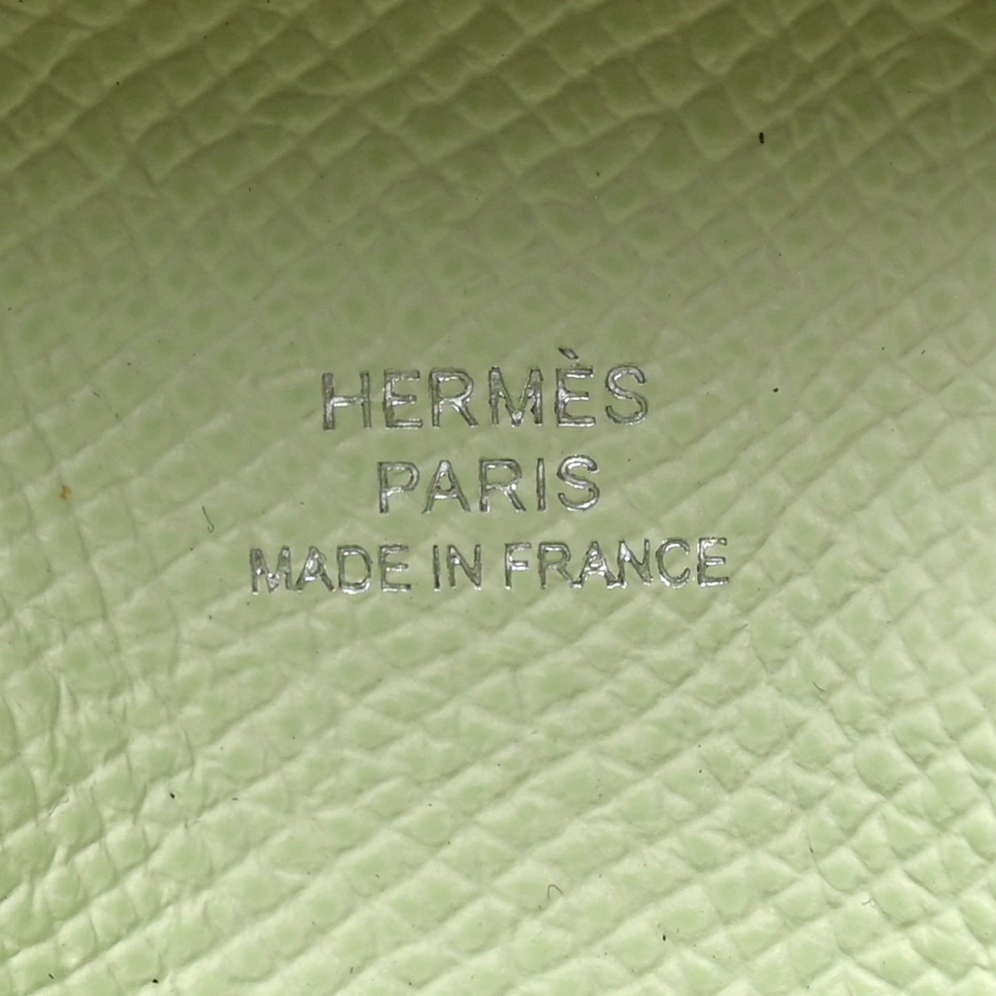Epsom Bastia Verso Coin Purse Gold Vert Fizz