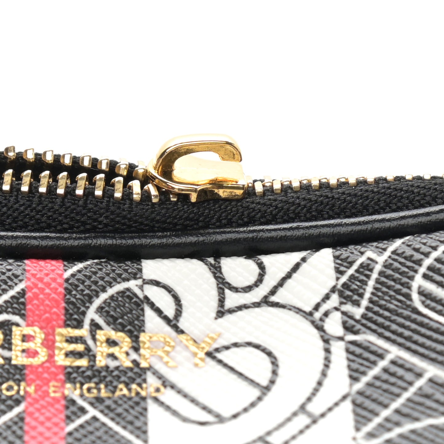 E-Canvas Monogram Stripe Camera Bag Bridle Brown