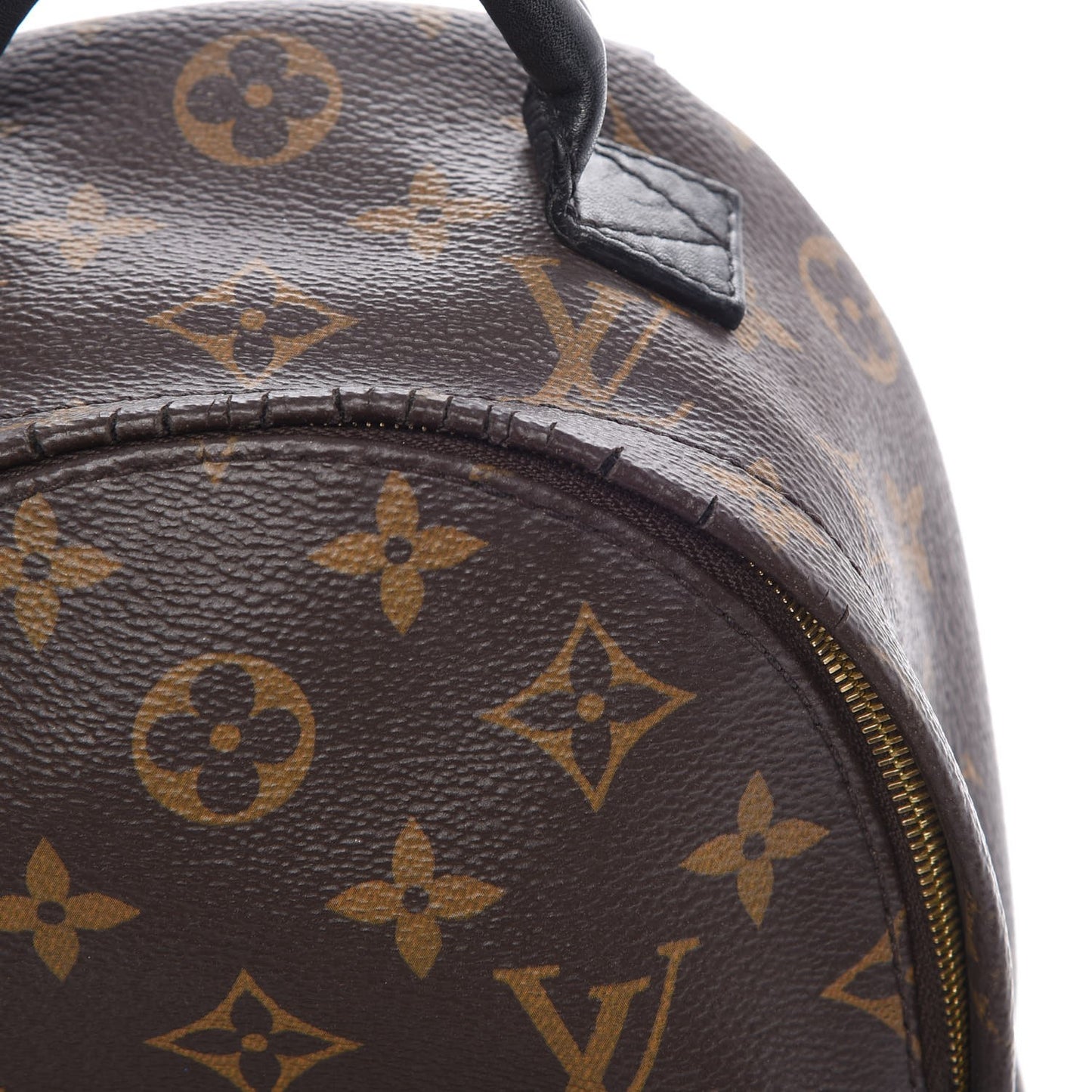 Monogram Palm Springs Backpack Mini