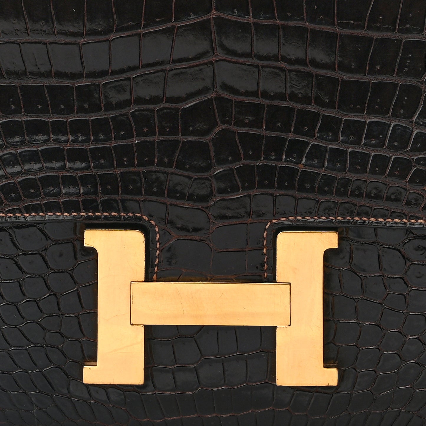 Shiny Niloticus Crocodile Constance 24 Havane