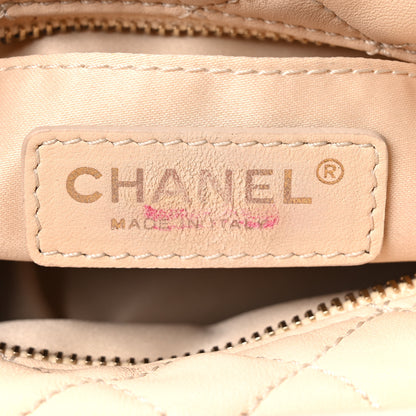 Chanel Lambskin Quilted Small Hobo Beige 6 of 10