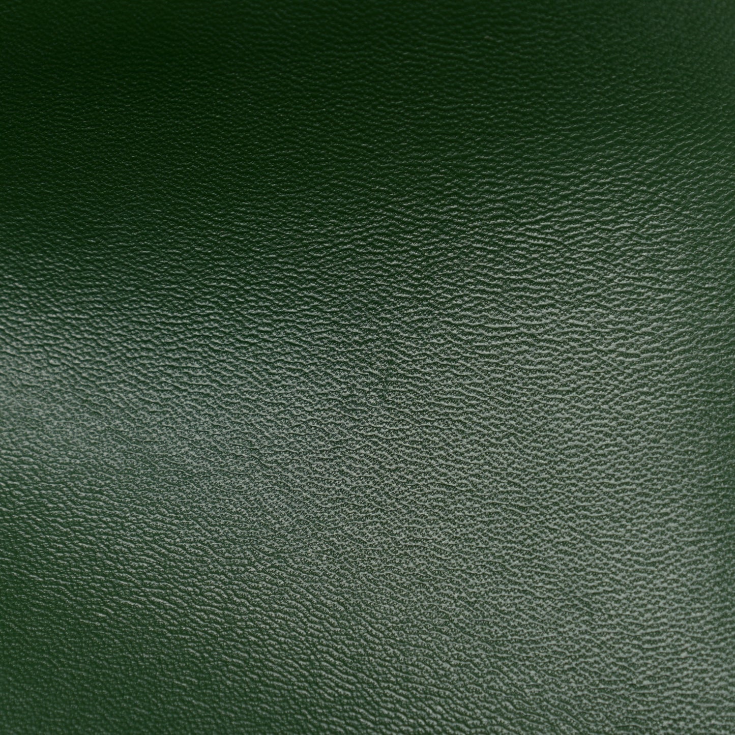 Shiny Calfskin Medium Triomphe Forest