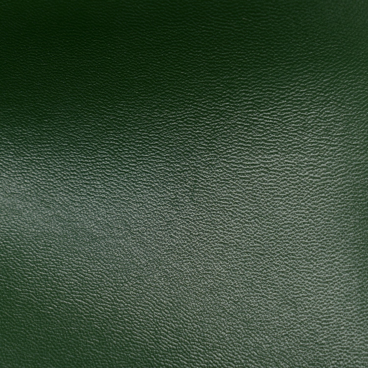 Celine Shiny Calfskin Medium Triomphe Forest 11 of 12