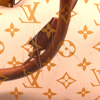 Louis Vuitton Ambre Neo Cabas MM 11 of 11