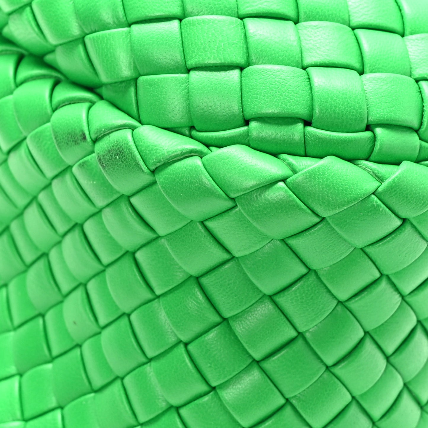 Rubber Padded Intrecciato Mini Jodie Parakeet