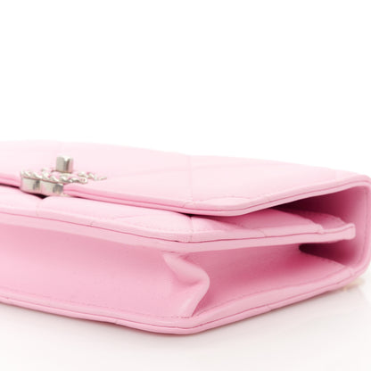 Chanel Lambskin Quilted Chanel 19 Wallet On Chain WOC Pink 10 of 11