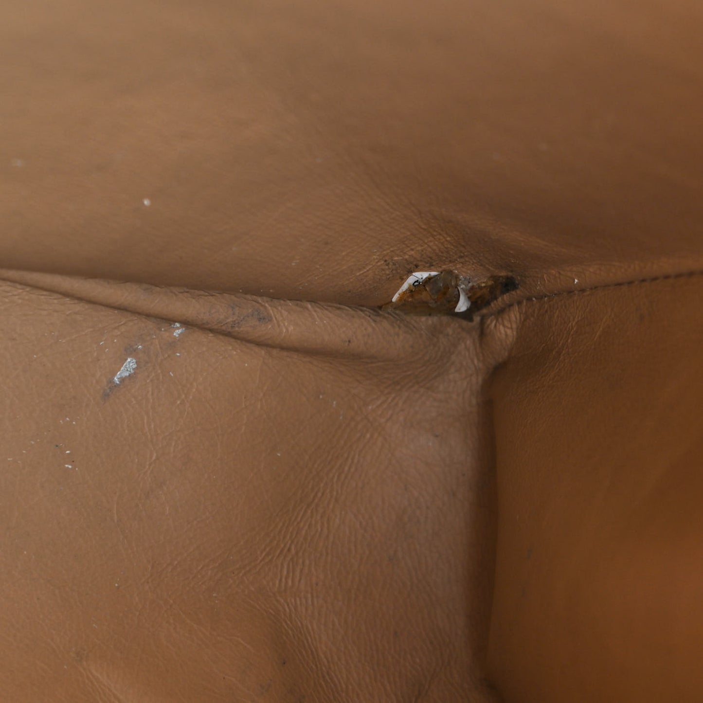 Caviar CC Tote Beige