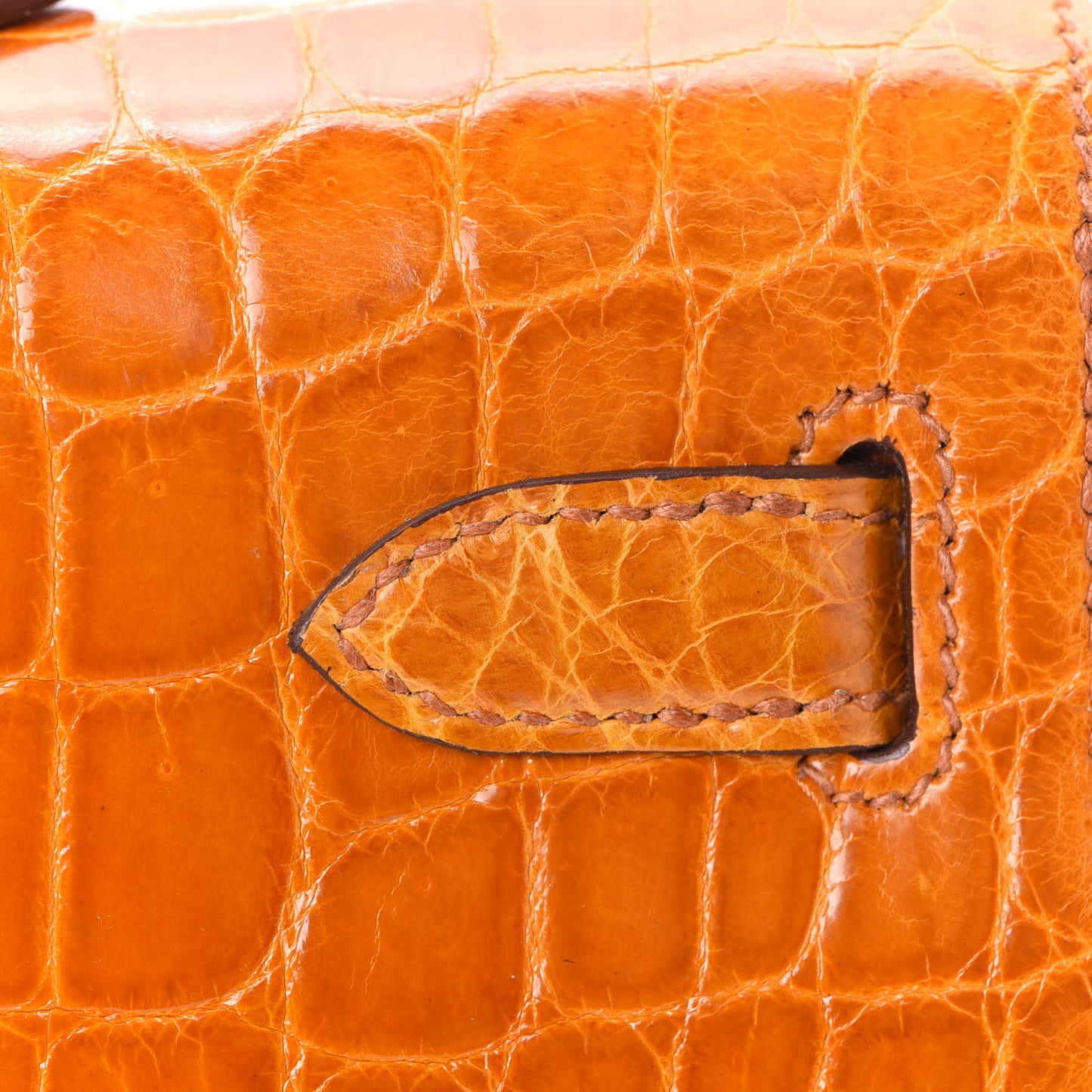 Shiny Niloticus Crocodile Kelly Cut Pochette Pain D'Epice