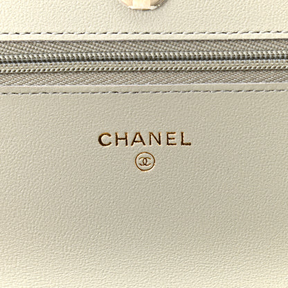 Chanel Lambskin Quilted Wallet On Chain WOC Grey 6 of 12