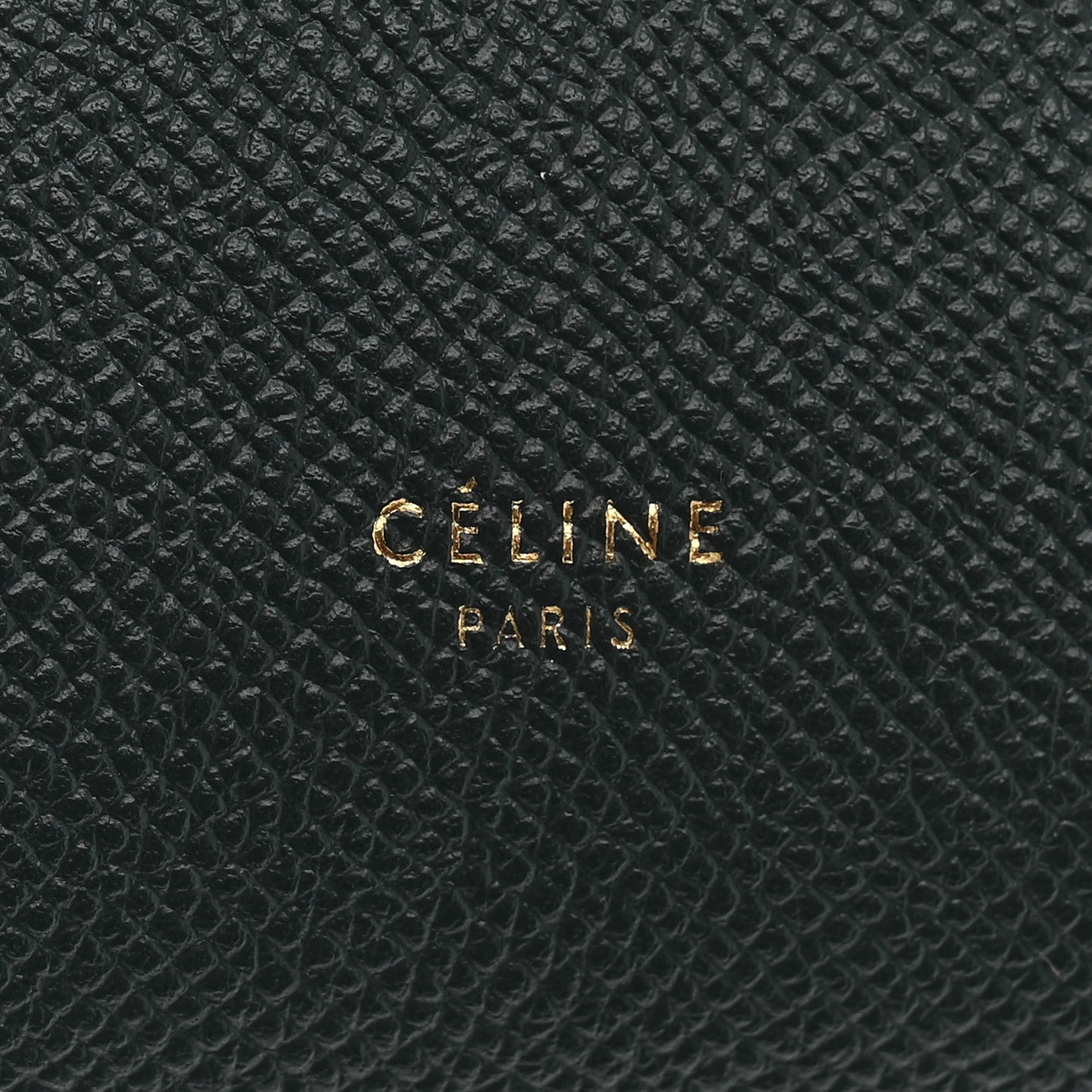 Grained Calfskin Nano Belt Bag Amazone