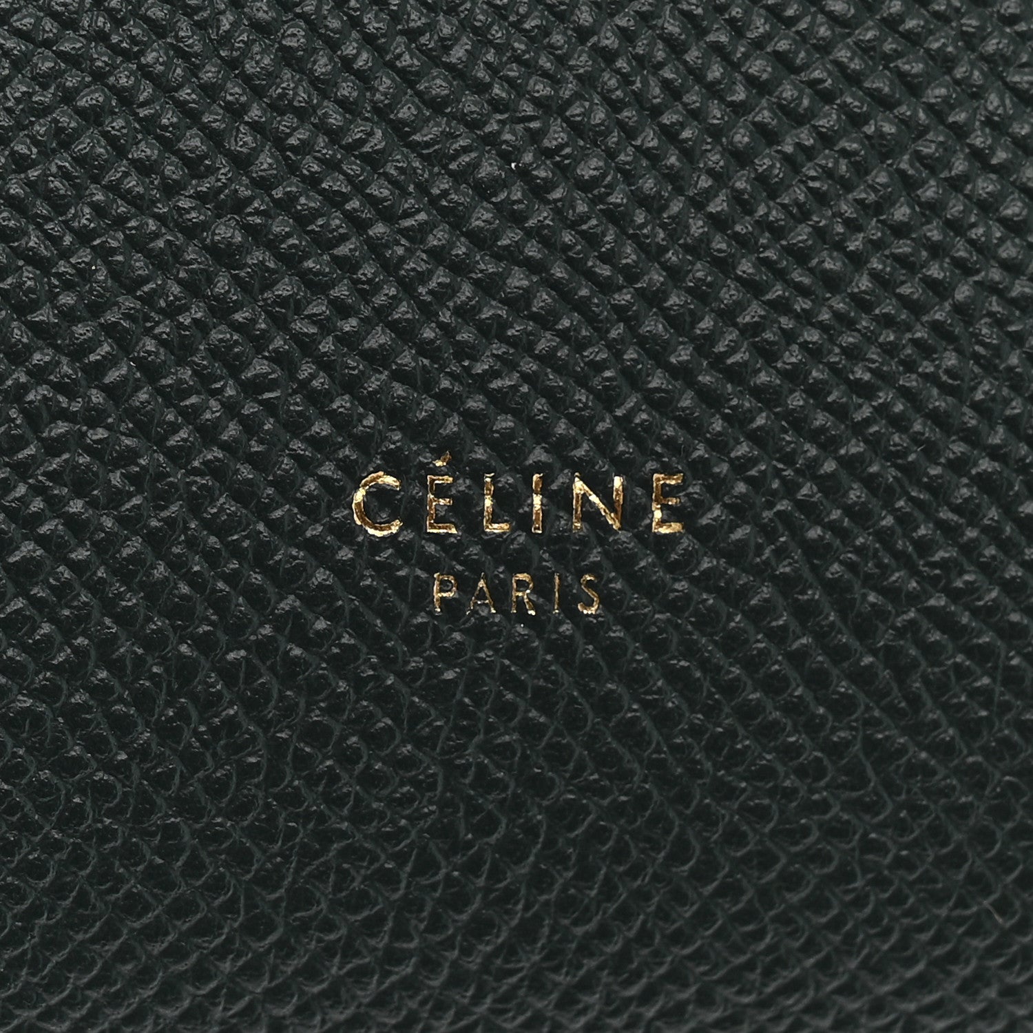 Celine Grained Calfskin Nano Belt Bag Amazone 6 of 12