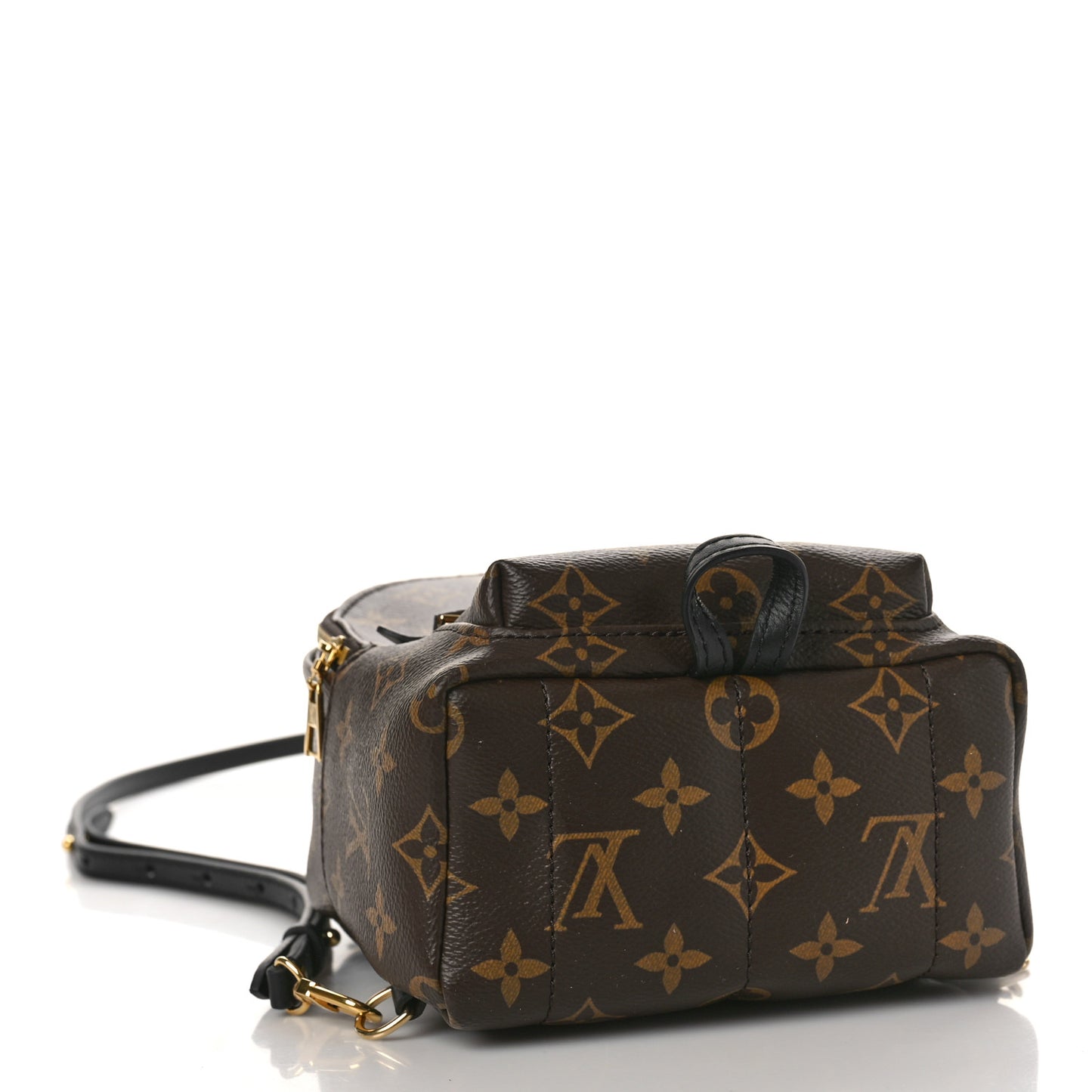 Monogram Palm Springs Backpack Mini