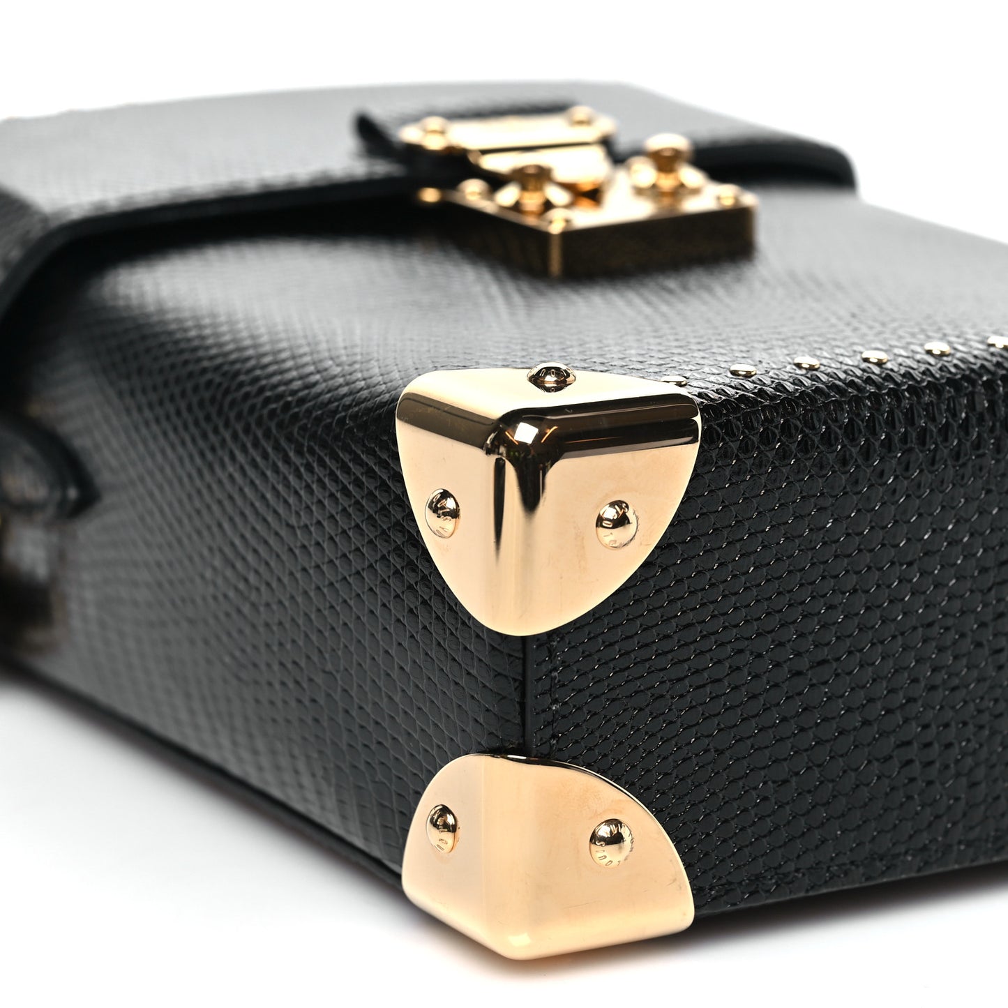 Lizard Camera Box Black