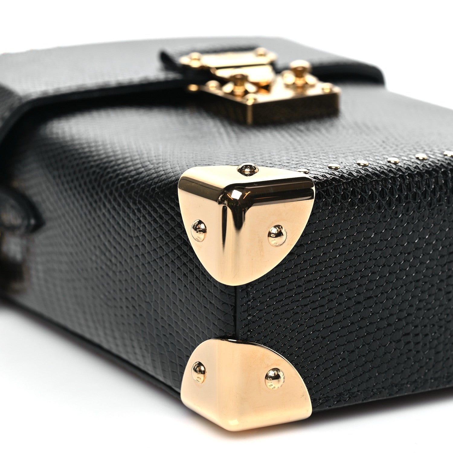 Louis Vuitton Lizard Camera Box Black 8 of 9