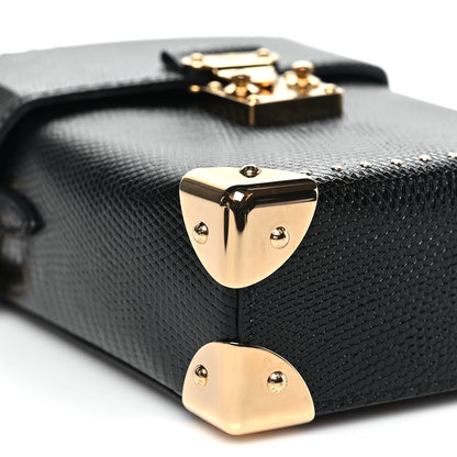 Louis Vuitton Lizard Camera Box Black 8 of 9