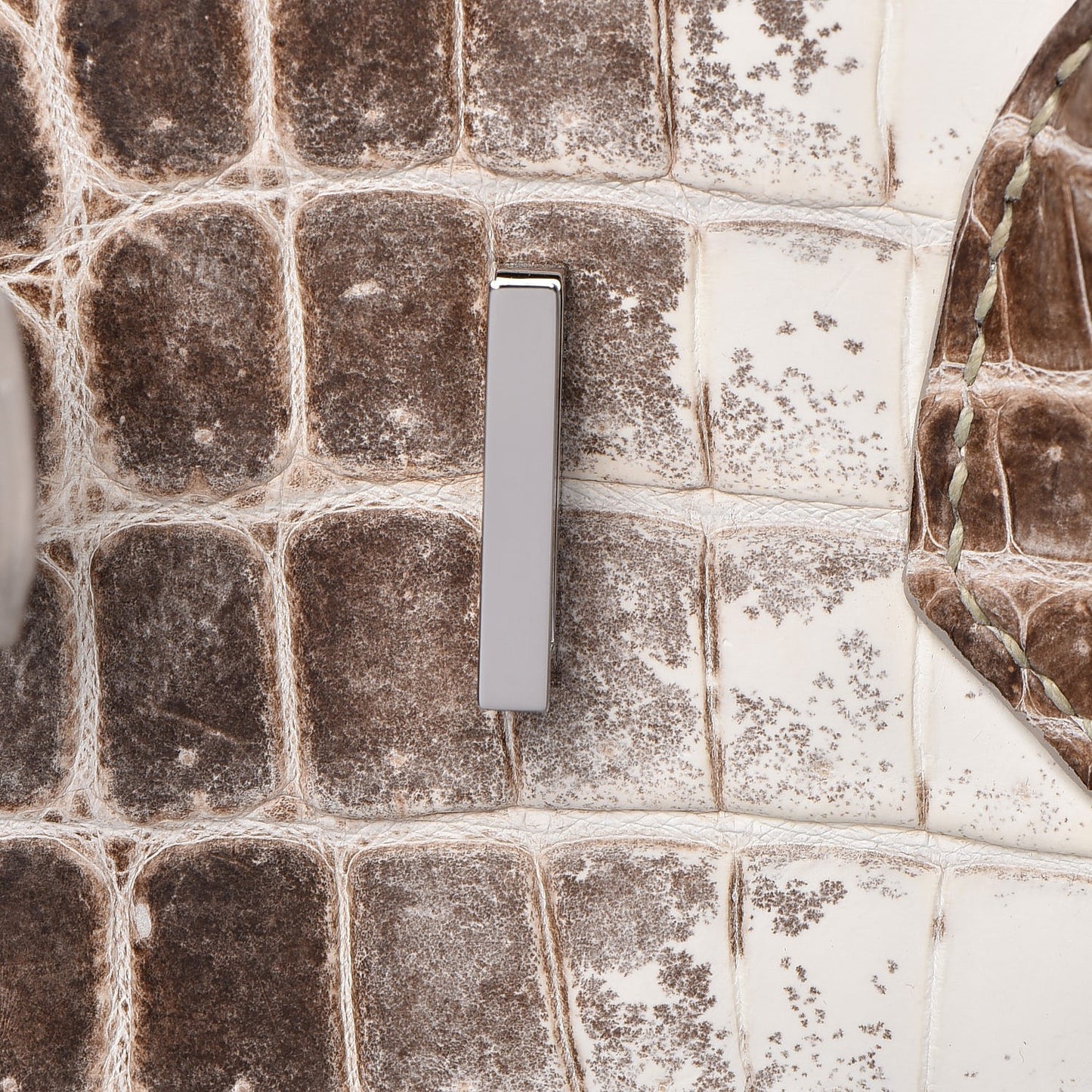 Matte Niloticus Crocodile Himalaya Birkin 30 Blanc