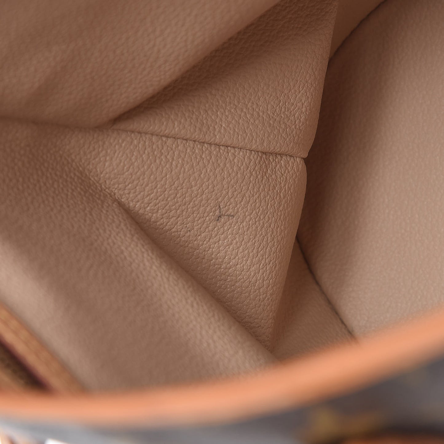 Monogram Petit Bucket 23