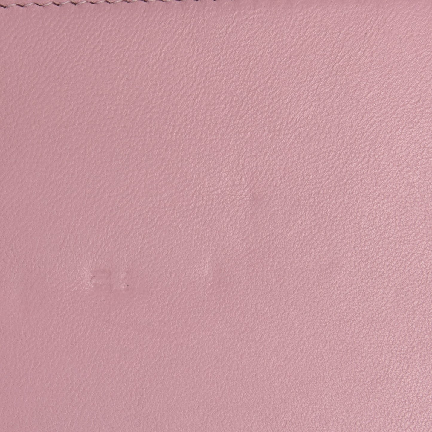 Calfskin Crystal Studded Boy Wallet On Chain WOC Pink