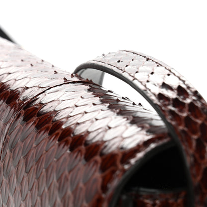 Celine Watersnake Teen Triomphe Brown 12 of 12