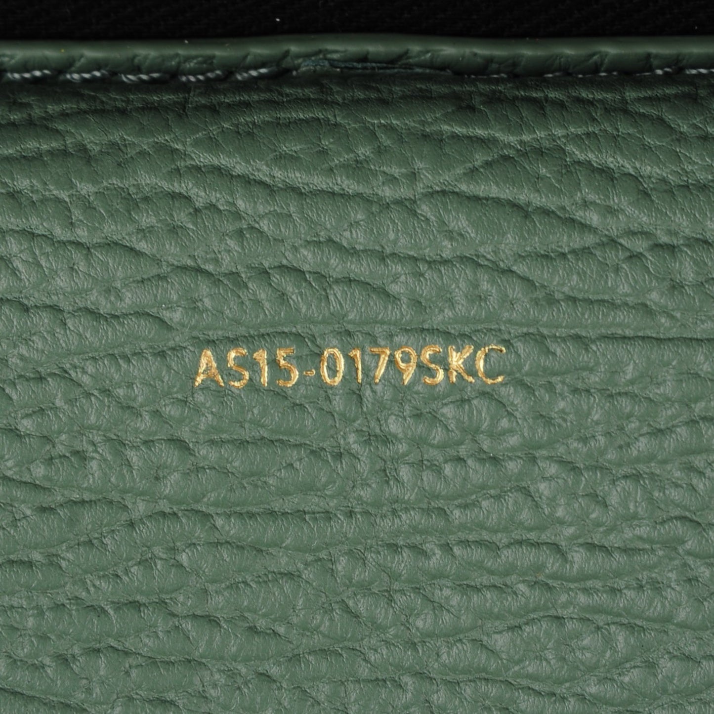 3.1 Textured Calfskin Medium Pashli Satchel Agave