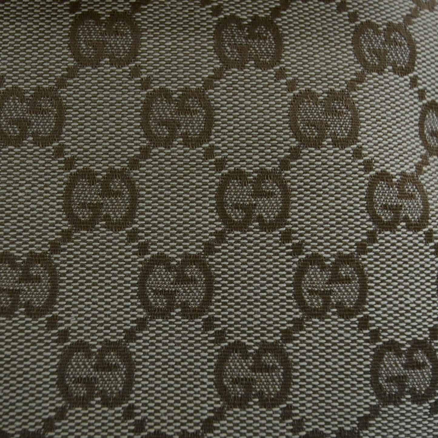 Monogram Small Web Shoulder Bag