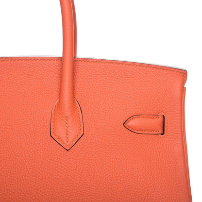Hermes Togo Birkin 35 Feu 23 of 26
