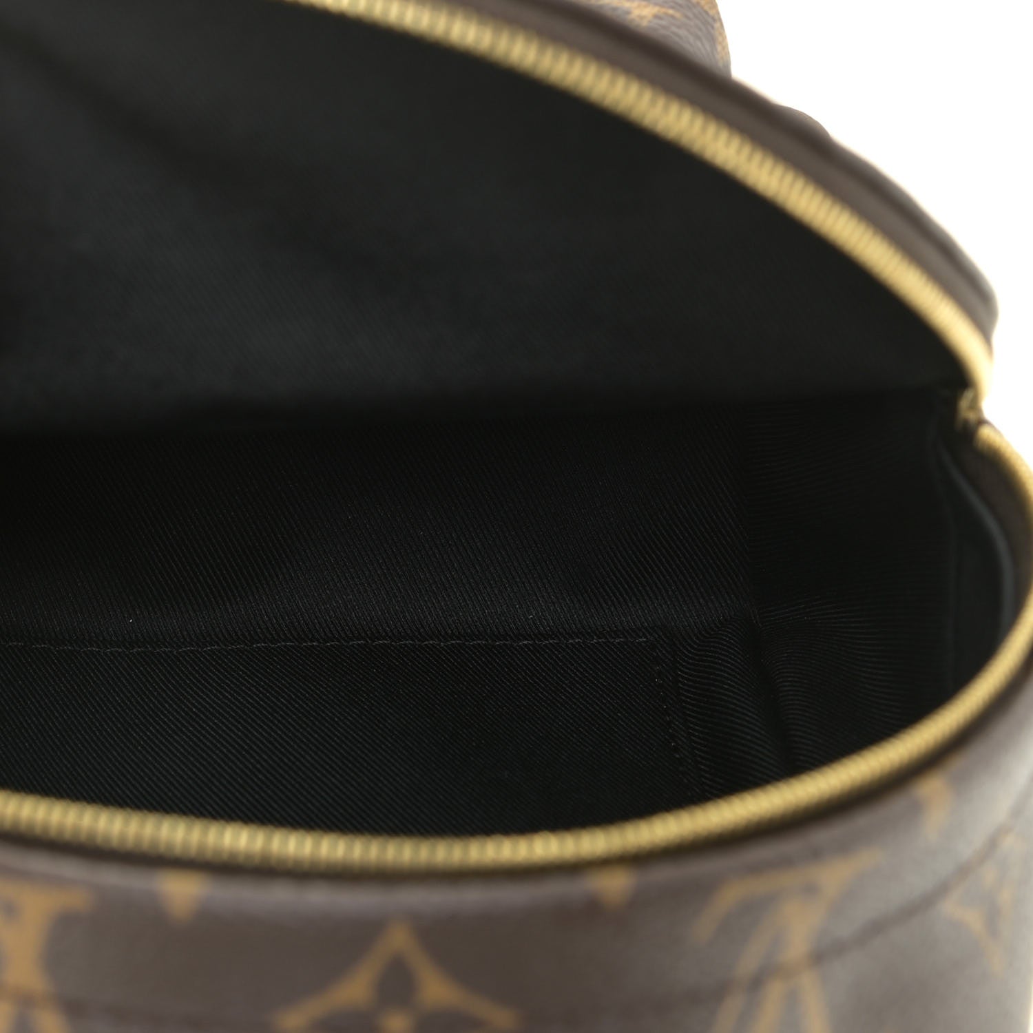 Louis Vuitton Monogram Palm Springs Backpack Mini 7 of 10